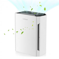 Air Purifiers Image