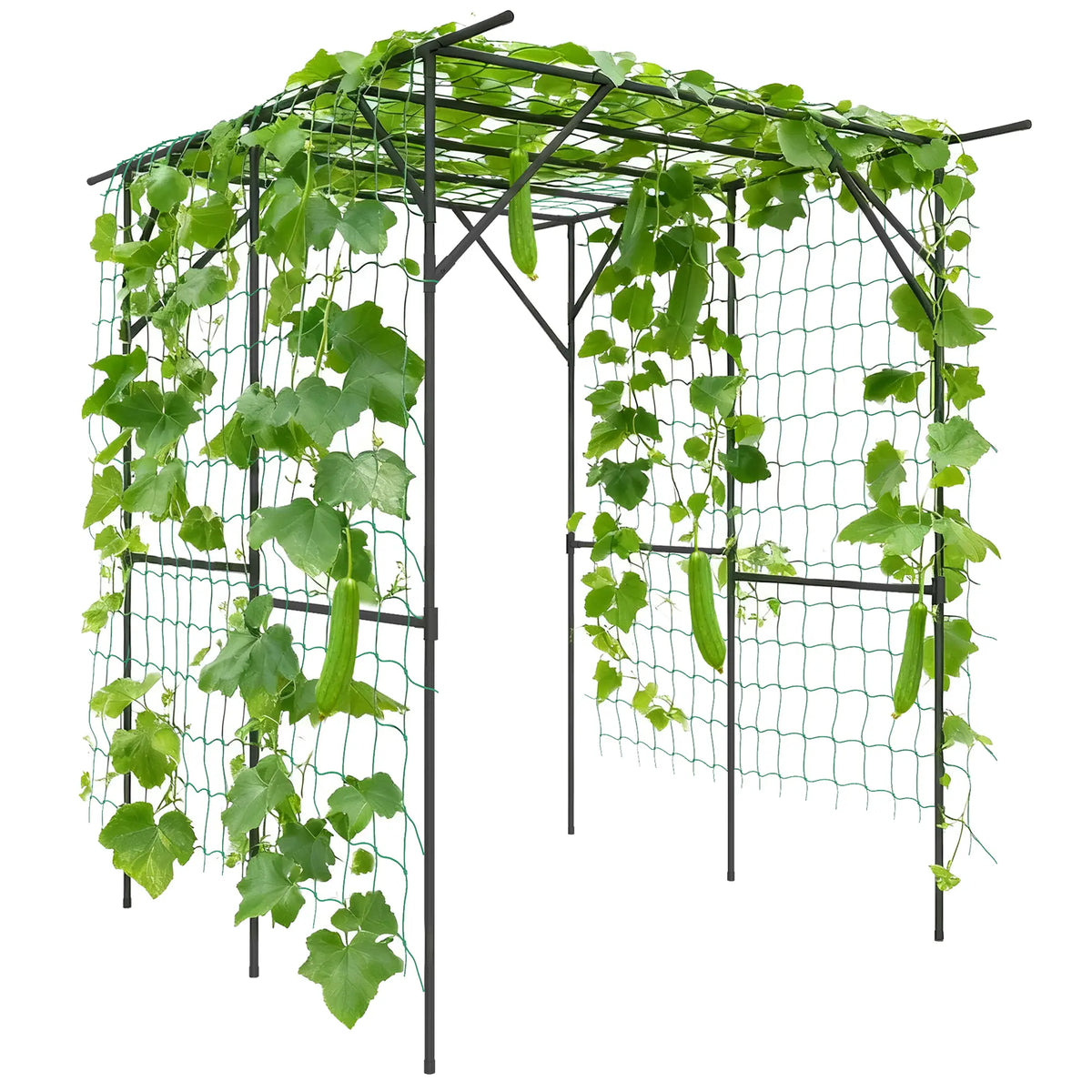 6.4FT Tall Metal Garden Arch Trellis, Plant Support With Climbing Net Plant Stands at Gallery Canada
