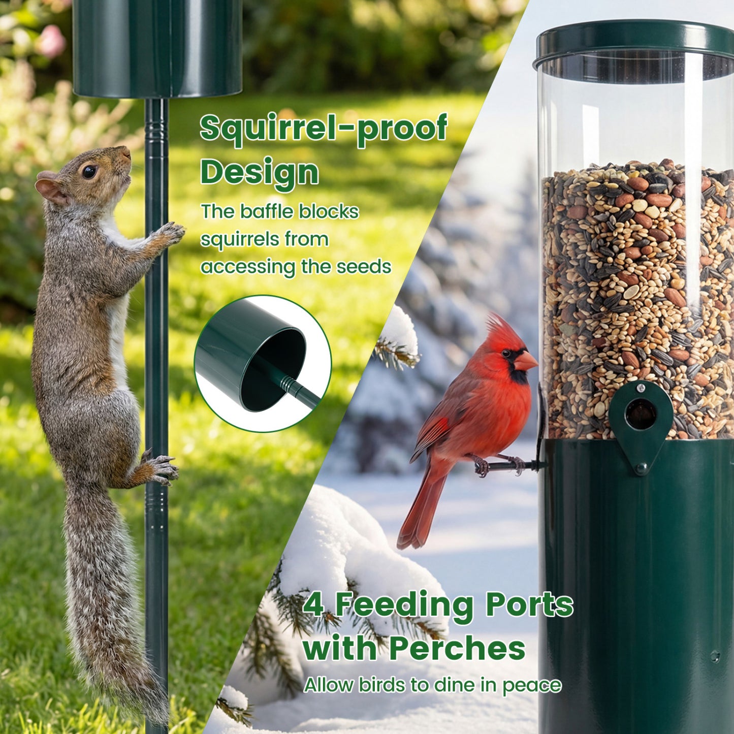 10 LBS Squirrel Proof Bird Feeder, Pole Mount And Baffle, Green Bird Supplies at Gallery Canada