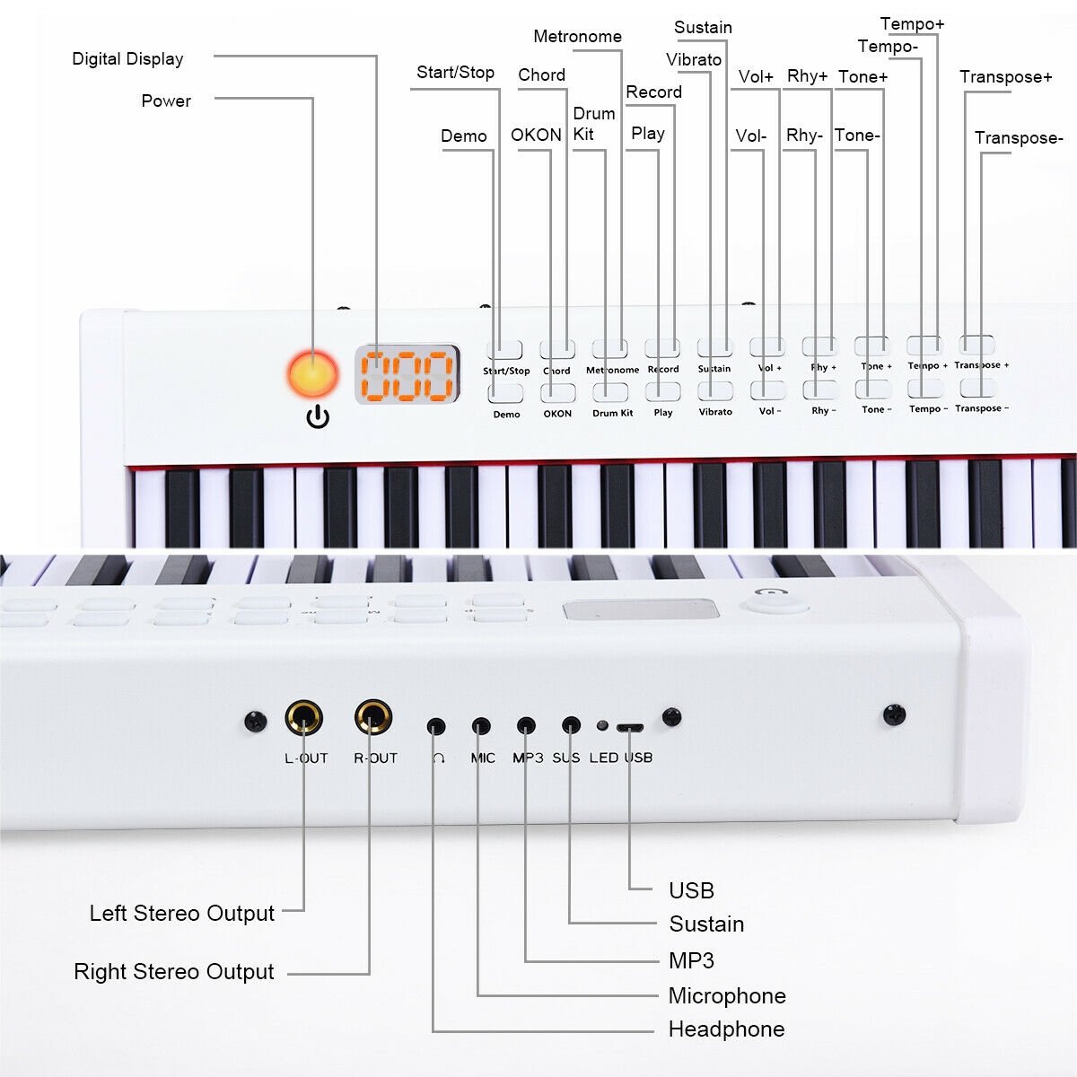 BX-II 88-key Portable Digital Piano with  MP3, White at Gallery Canada