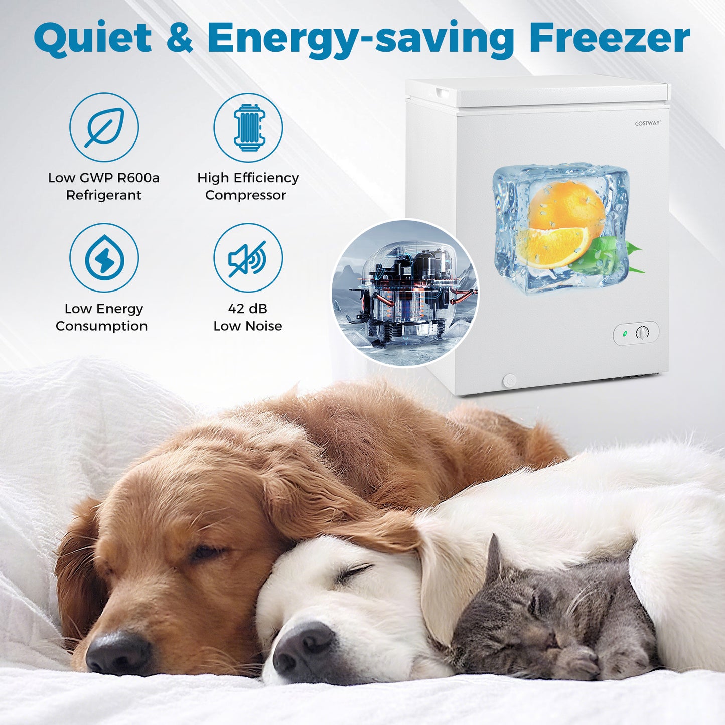 Compact Chest Freezer, 5 Cu.Ft, 7-Gear Adjustable Temperature, White Freezers at Gallery Canada
