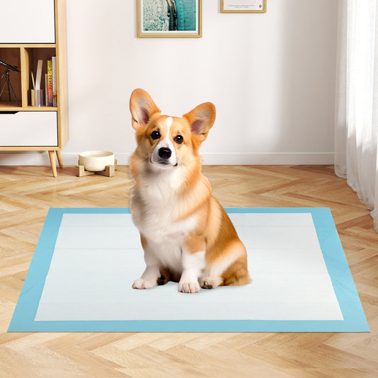 150 Pieces, 24 x 36 Inch Pet Pad, Light Blue Dog Supplies Light Blue at Gallery Canada