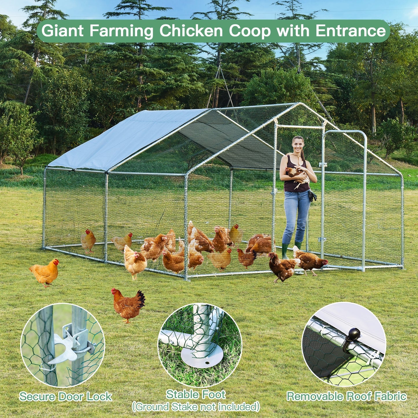 Large Walk in Shade Cage Chicken Coop with Roof Cover-M, Silver Chicken Coops at Gallery Canada
