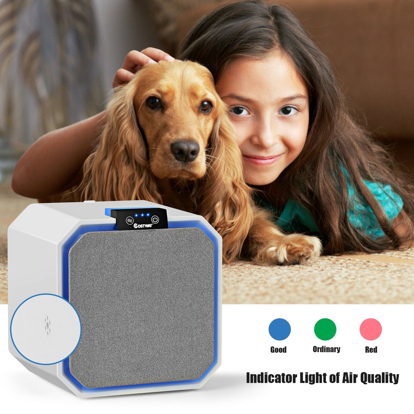 Desktop HEPA Air Purifier Home Air Cleaner with 2-in-1 Composite HEPA Filter, White Air Purifiers at Gallery Canada