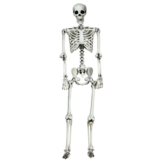 5.4 Feet Halloween Skeleton Life Size Realistic Full Body Hanging, White at Gallery Canada