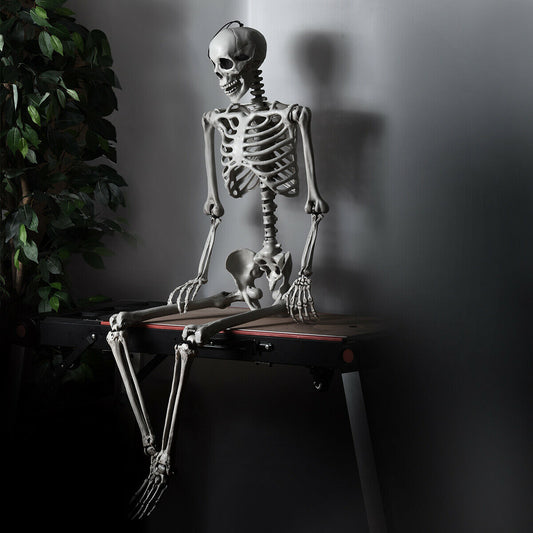 5.4 Feet Halloween Skeleton, Life Size, Realistic Full Body, White Halloween White at Gallery Canada