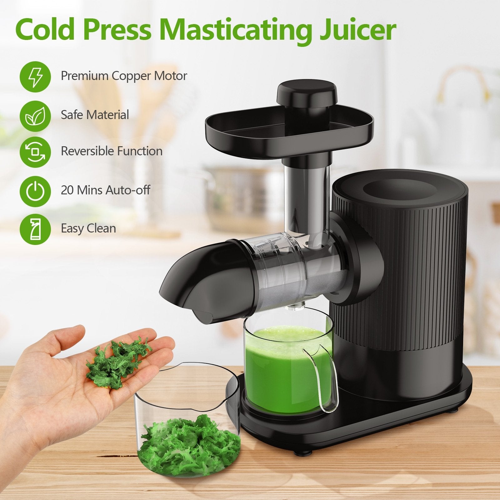 Horizontal Slow Masticating Extractor Juicer with Brush, Black at Gallery Canada