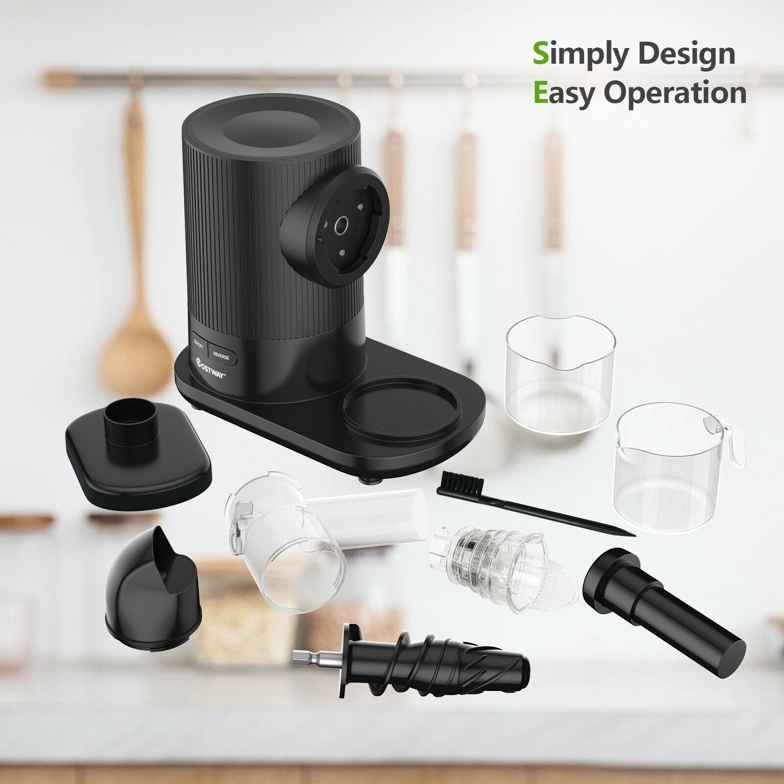 Horizontal Slow Masticating Extractor Juicer with Brush, Black at Gallery Canada