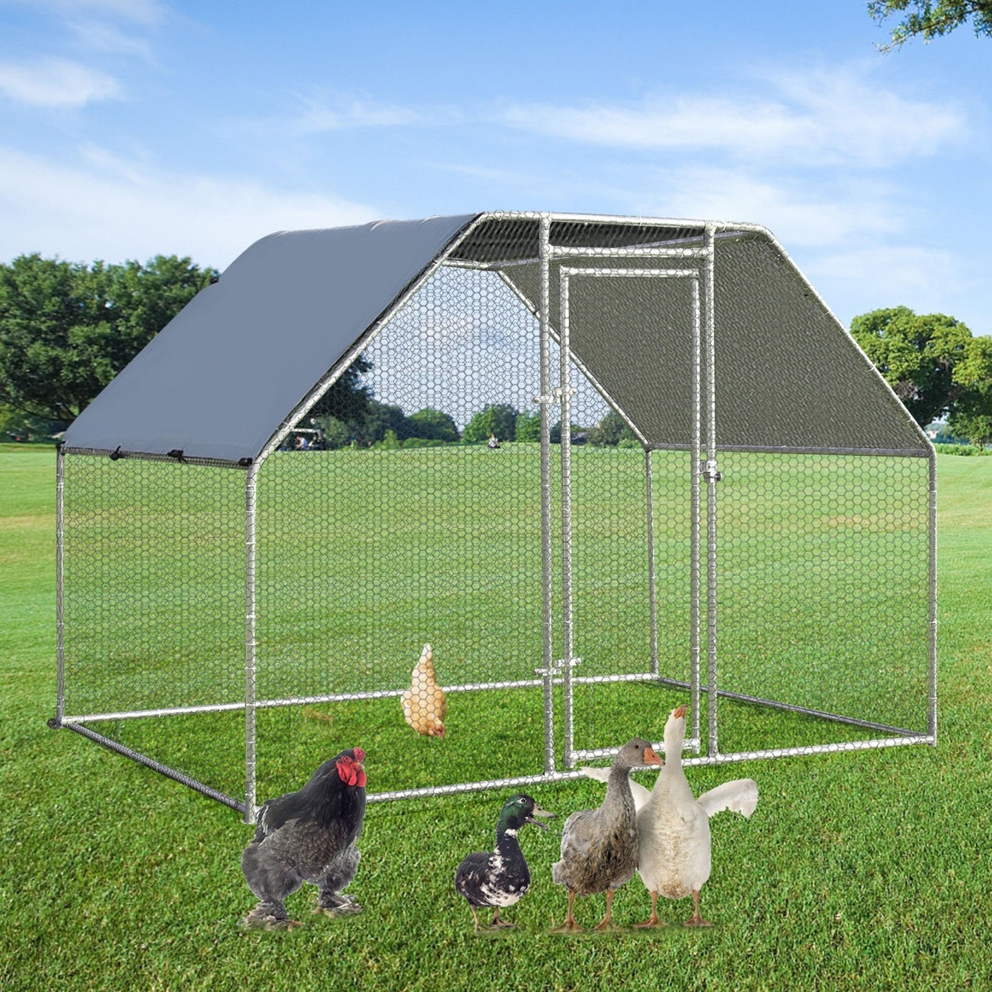 9.5 x 6.5 Feet Large Walk In Chicken Run Cage, Silver at Gallery Canada