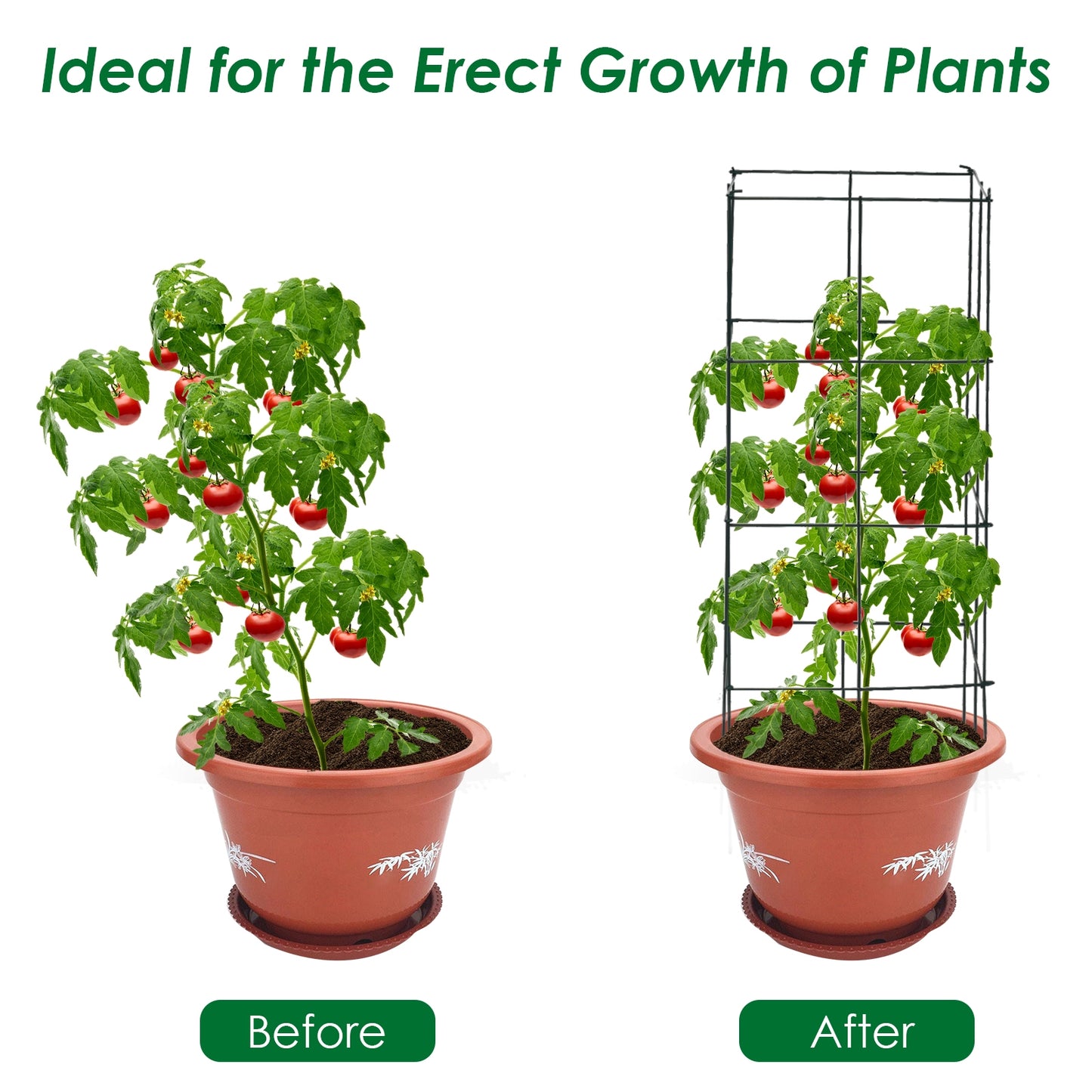 4 Pack Garden Trellis for Climbing Plants for Flower Vegetable, Black Plant Stands at Gallery Canada