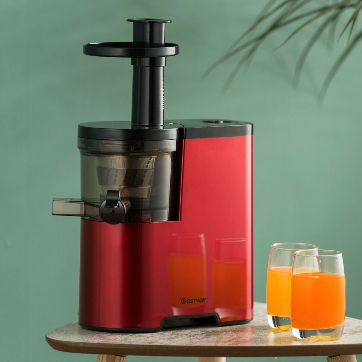 Slow Fruit Vegetable Masticating Juicer Cold Press Extractor at Gallery Canada