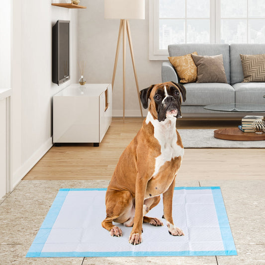100 pieces 30 x 36 inch Pet Wee Pee Piddle Pad , Light Blue Dog Supplies Light Blue at Gallery Canada