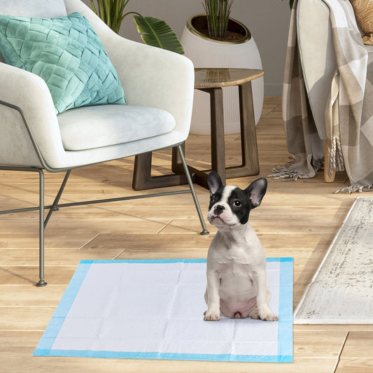 200 Pet Pee Pads, 24 x 24 Inch, Light Blue Dog Supplies Light Blue at Gallery Canada