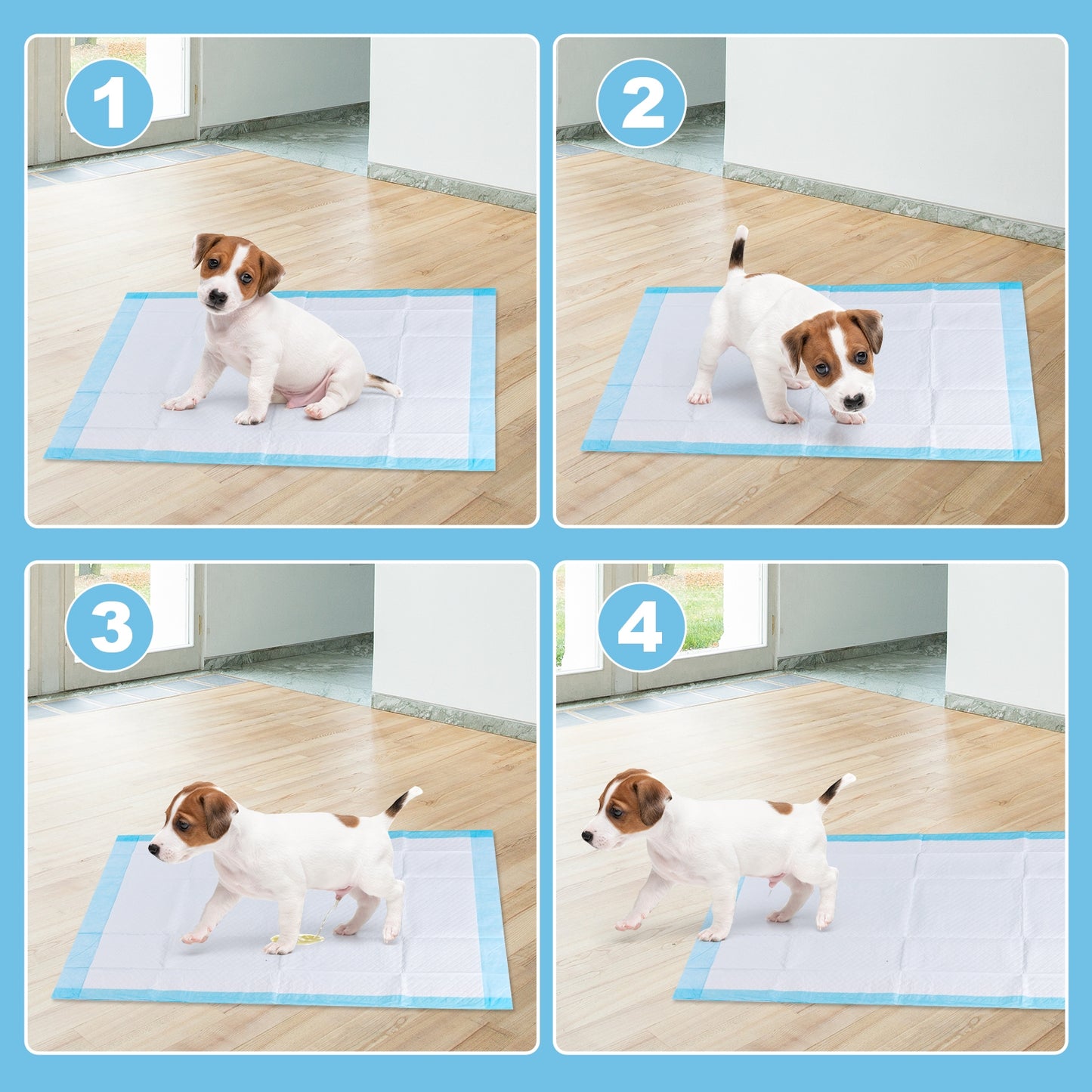200 Pieces 24 x 24 Inch Pet Wee Pee Piddle Pad, Light Blue Dog Supplies at Gallery Canada