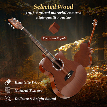 41 Inch Full Size Acoustic Guitar with Sapele Body Strap Picks, Brown