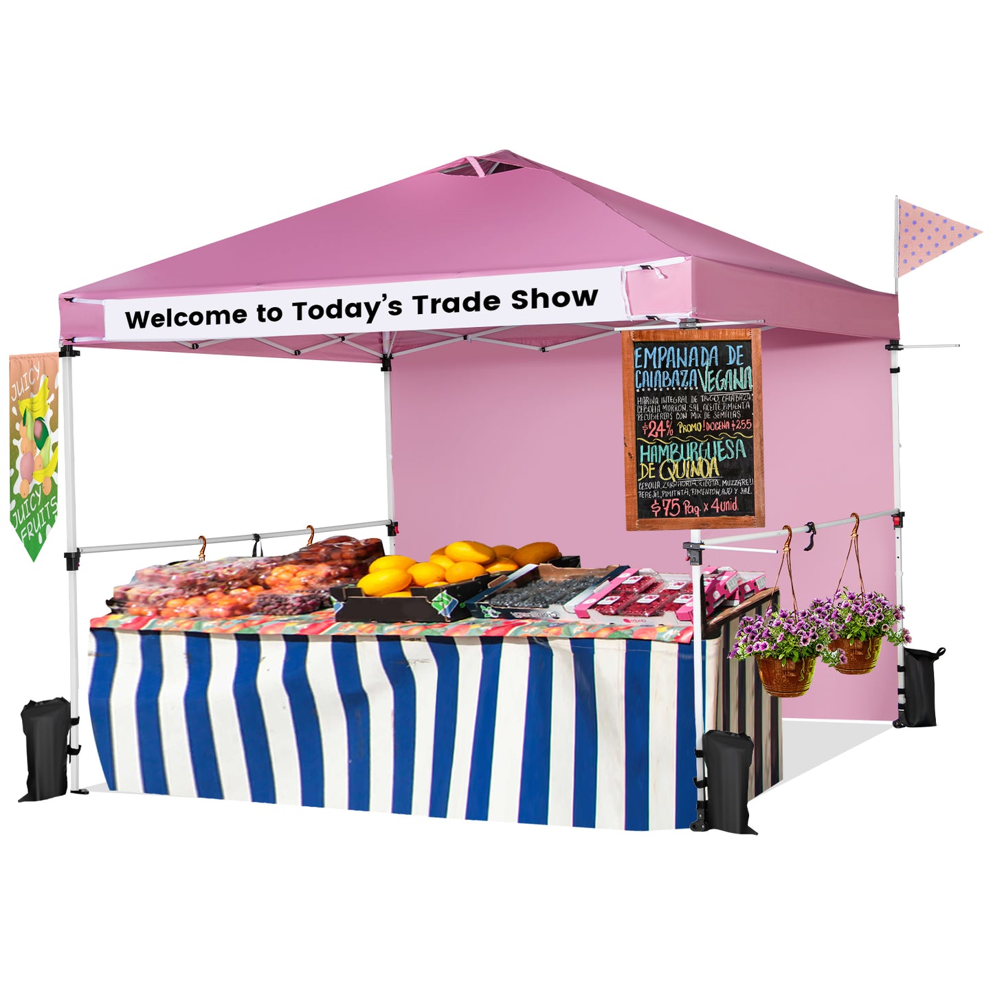 10 x 10 Feet Foldable Pop-Up Canopy, With Roller Bag, Pink Canopies at Gallery Canada