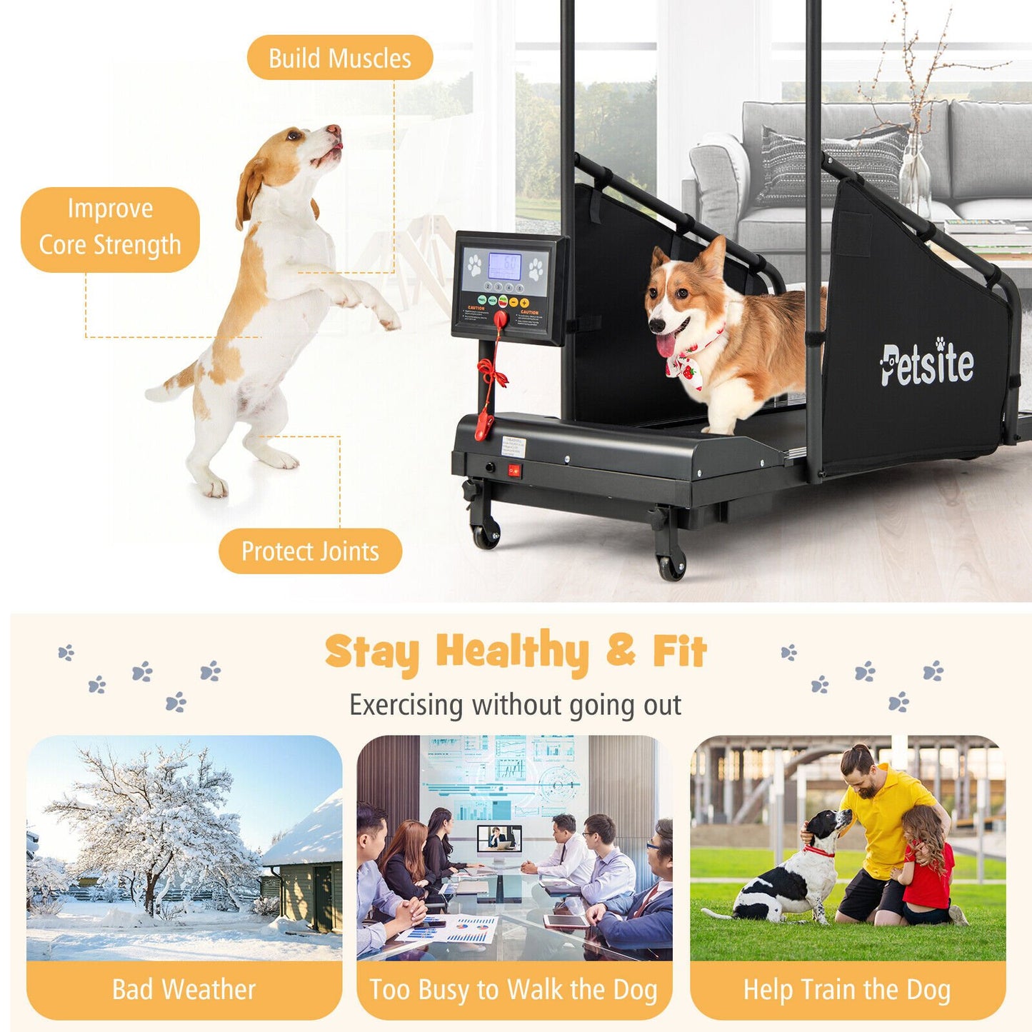Indoor Pet Exercise Equipment with Remote Control, Black at Gallery Canada