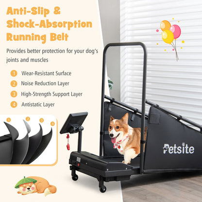 Indoor Pet Exercise Equipment with Remote Control, Black at Gallery Canada