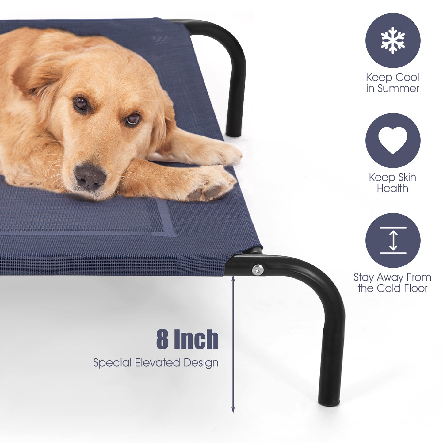 Large Elevated Pet Cot, XL, Steel Frame, Indoor Outdoor Camping, Black