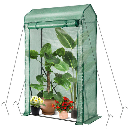 Walk-in Garden Greenhouse Hot House Tomato Plant Warm House, Green at Gallery Canada