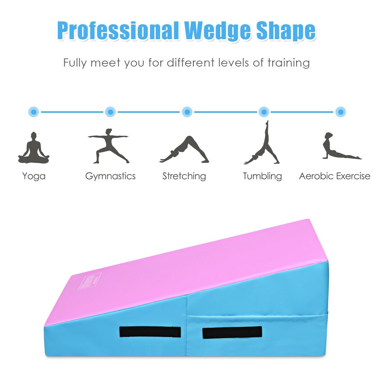Incline Gymnastics Mat Wedge Ramp Gym Tumbling Exercise Mat, Pink & Blue