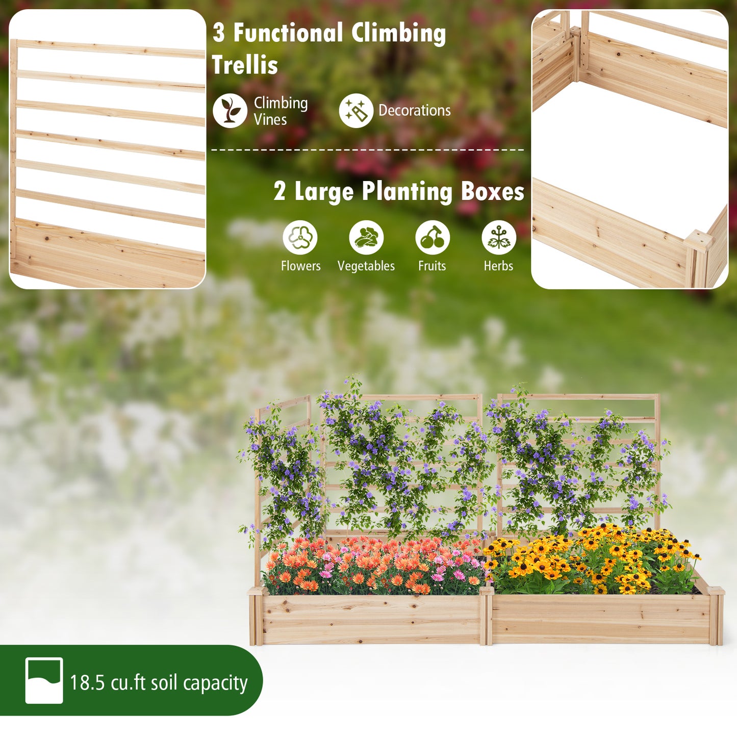 Raised Garden Bed with 2 Planter Boxes and 3 Trellis, Natural Raised Garden Beds at Gallery Canada