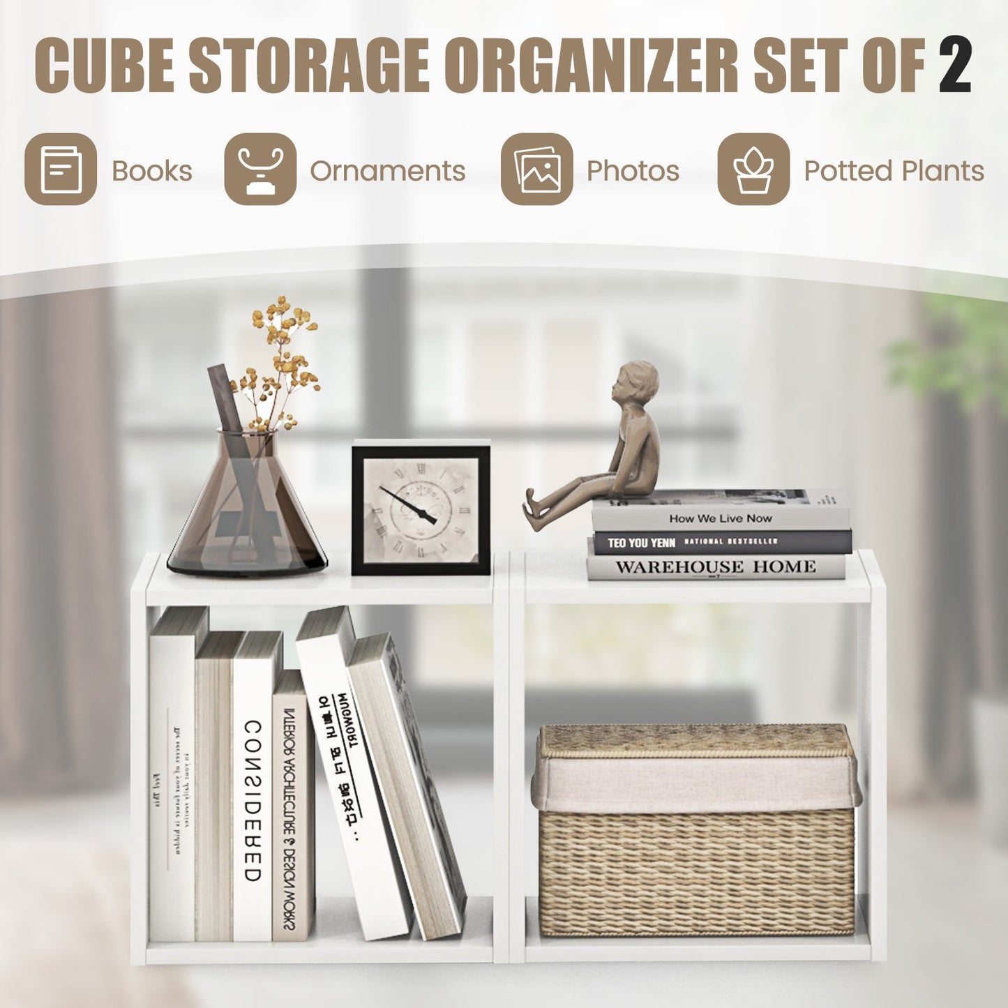 Cube Storage Organizer Set of 2, White