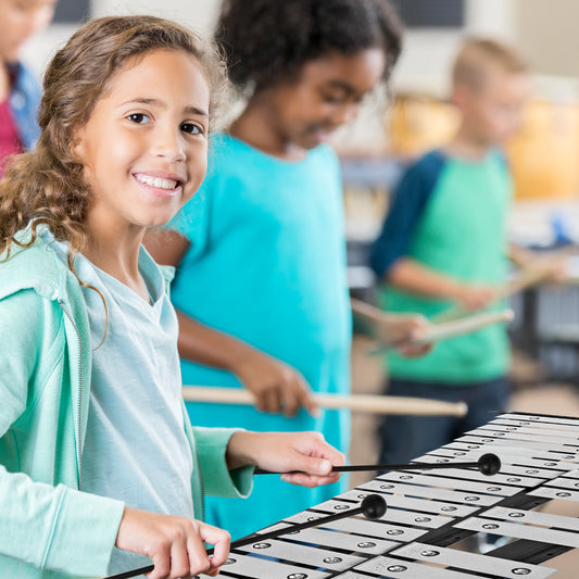 30 Notes Percussion With Practice Pad, Mallets, Sticks, Stand, Black