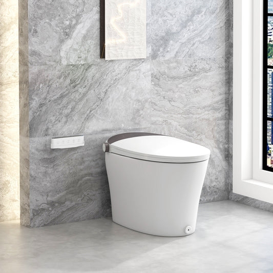 One-Piece Smart 1.16 GPF Elongated Bidet Toilet Seat with Night Light, White Toilet White at Gallery Canada
