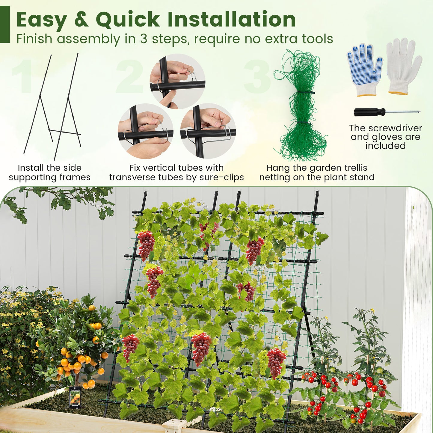 74 Inch Tall Garden Trellis for Flower Vine Vegetable Fruit Pea, Black Plant Supports at Gallery Canada