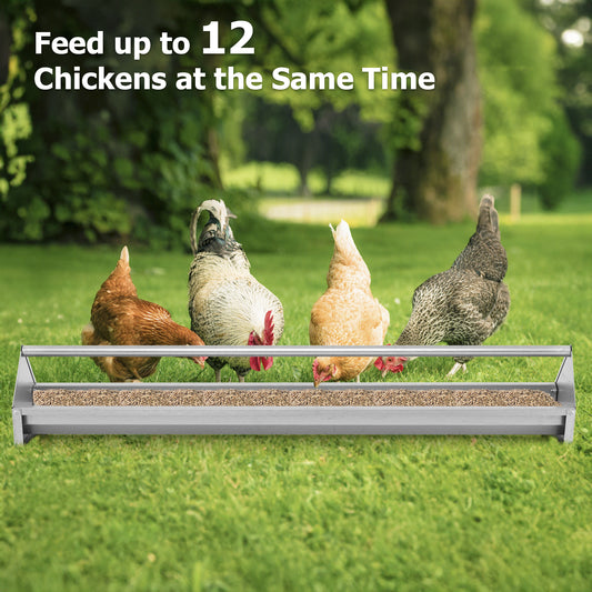 Metal Chicken Feeder With Drainage Holes, Silver Chicken Coops Silver at Gallery Canada