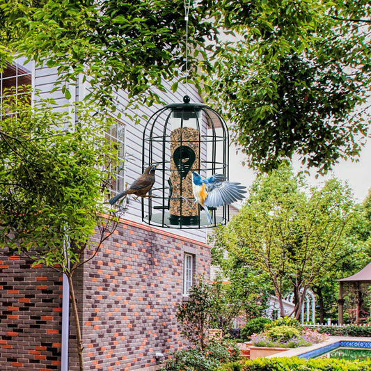 Squirrel-proof Caged Tube Wild Bird Feeder Outdoor Metal Seed Guard Deterrent, Green Bird Supplies Green at Gallery Canada