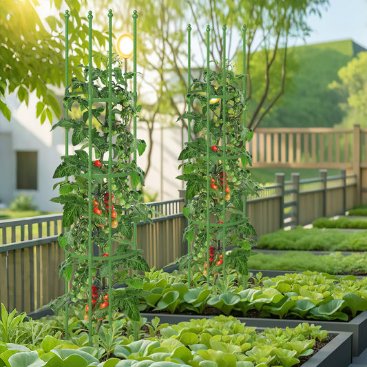 2-Pack Adjustable Garden Trellis Tomato Cage, Green Plant Stands Green at Gallery Canada