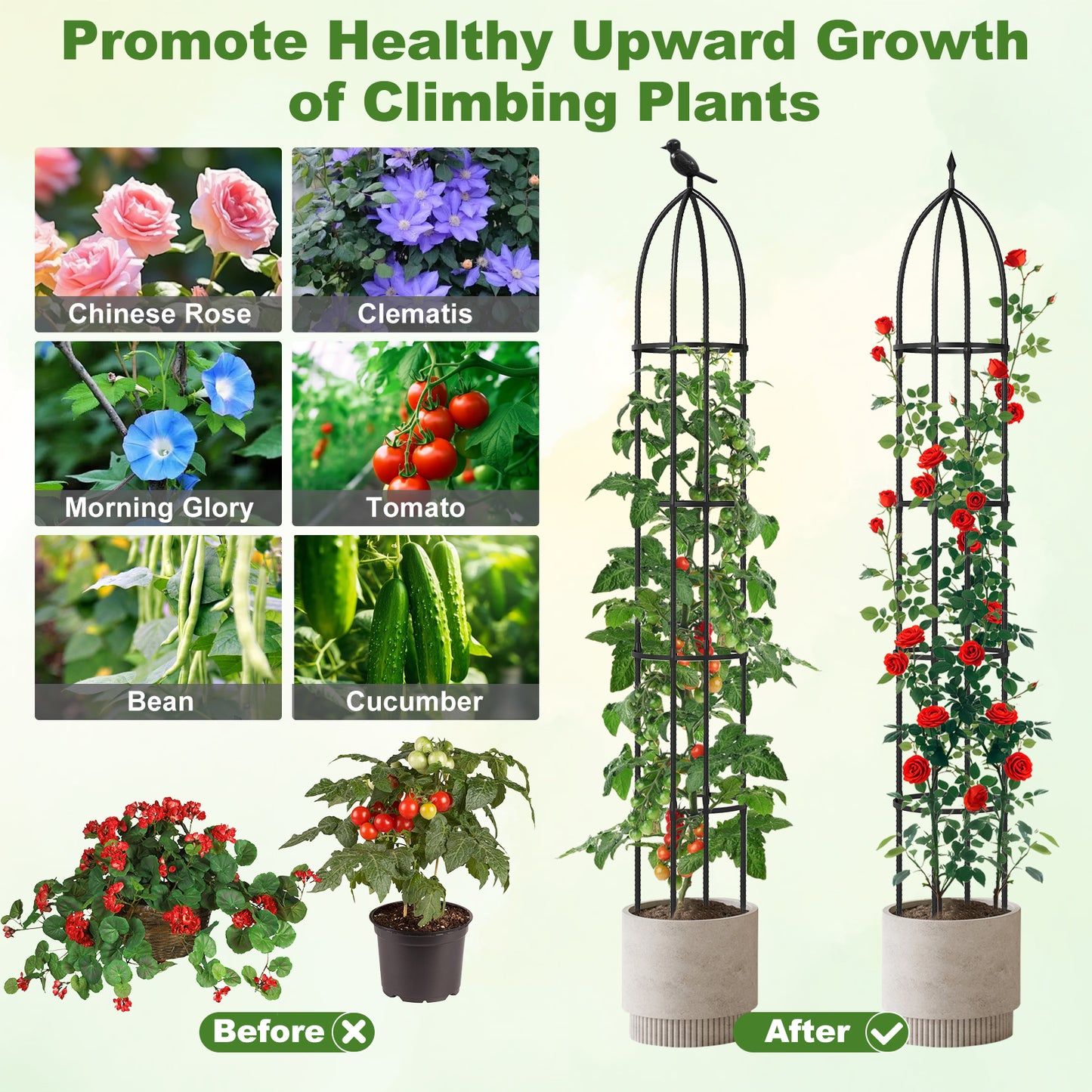 2-Pack Garden Obelisk Trellis For Climbing Plants, Black Raised Garden Beds at Gallery Canada