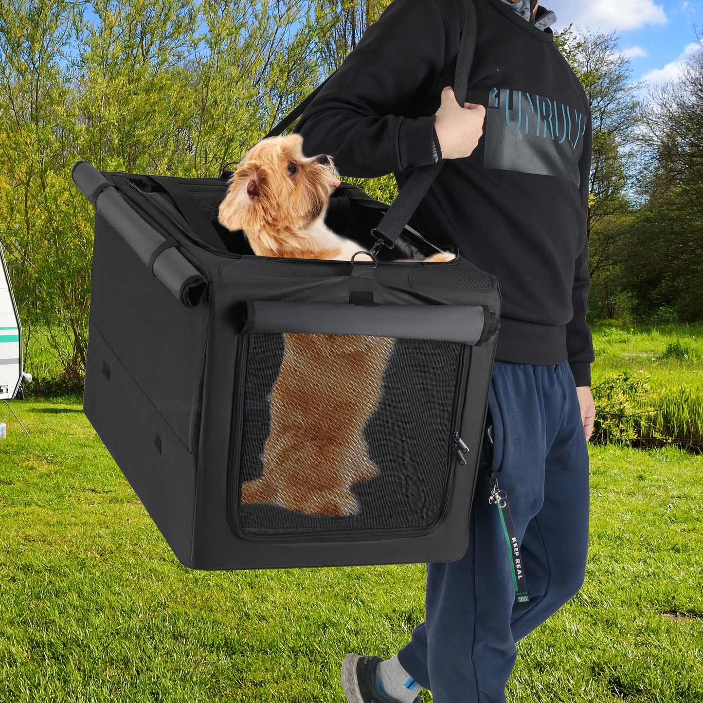 Portable Foldable Pet Carrier Bag, 2 Openings, Comfy Cushion, M, Black Dog Supplies at Gallery Canada