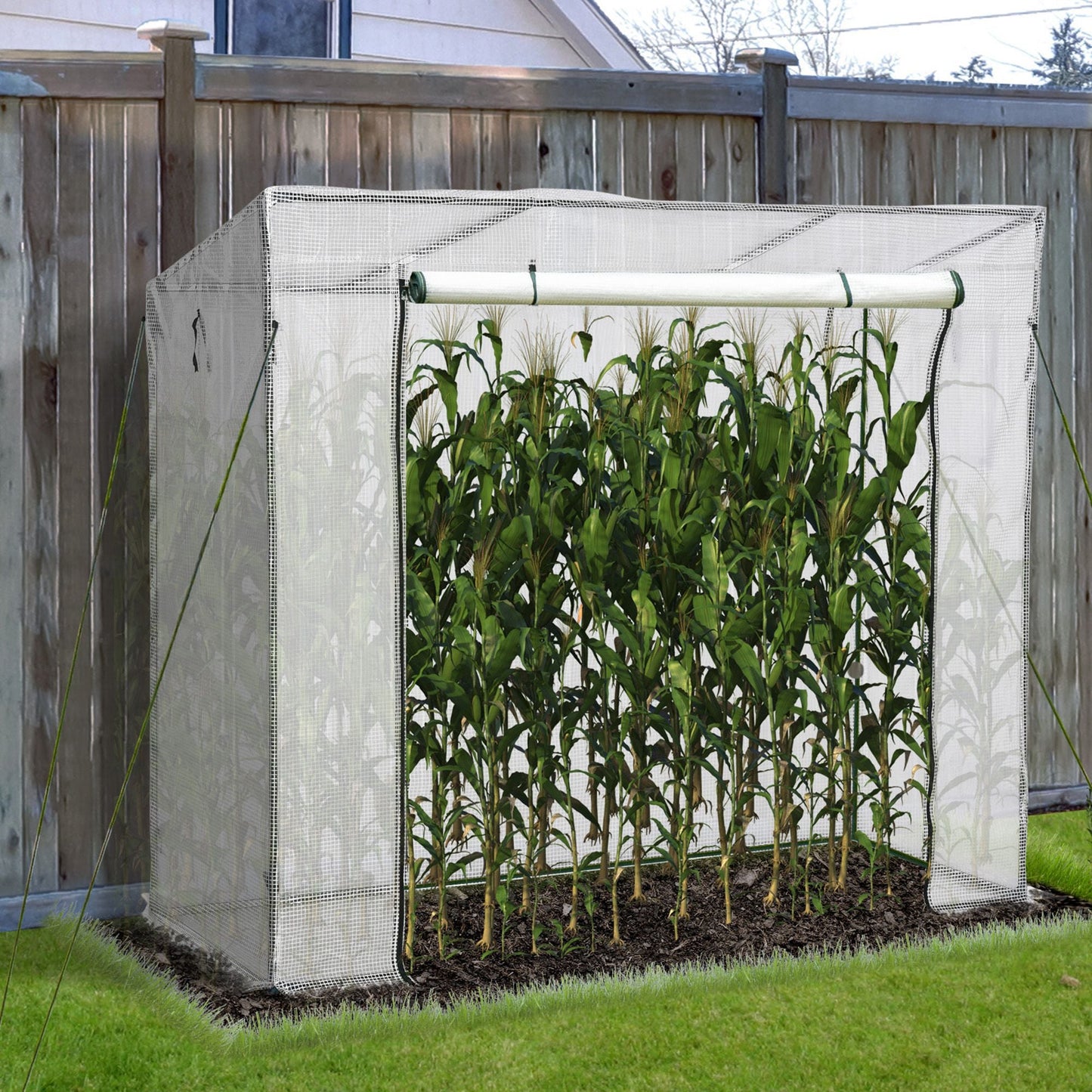 79" x 29" x 66" Walk-in Garden Greenhouse Patio Hot House with Durable Steel Frame Outdoor Tomato Plant House White at Gallery Canada