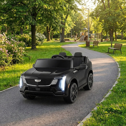 24V Ride On Truck, 2-Seater, Licensed, Remote Control, Black Powered Ride On Toys Black at Gallery Canada