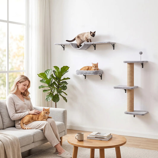 3-in-1 Cat Wall Shelves, Bed, Hammock, Posts, Spring Ball Cat Climbing Wall Multi Colour at Gallery Canada