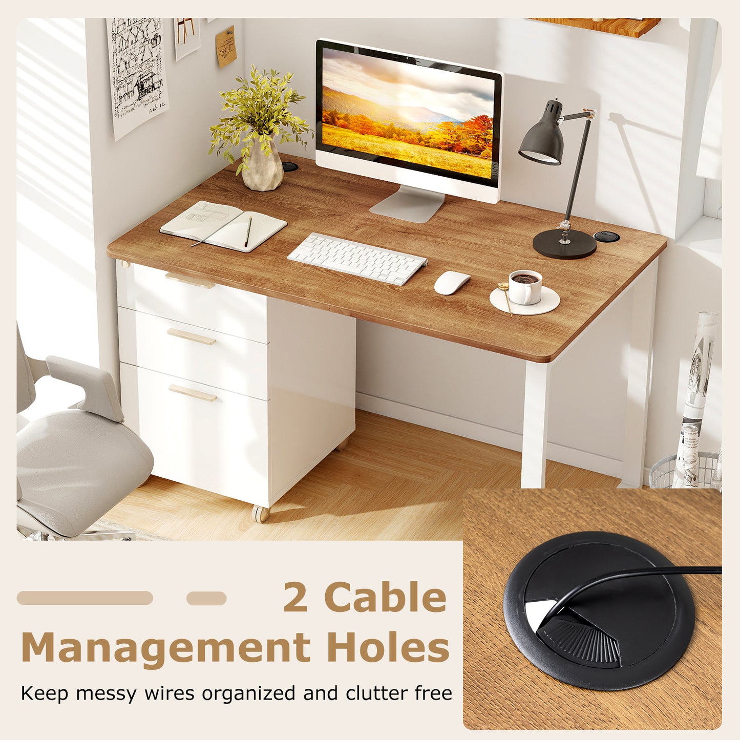 47 Inch x 30 Inch Universal Tabletop, Walnut, Standard And Standing Desk Office Desks at Gallery Canada