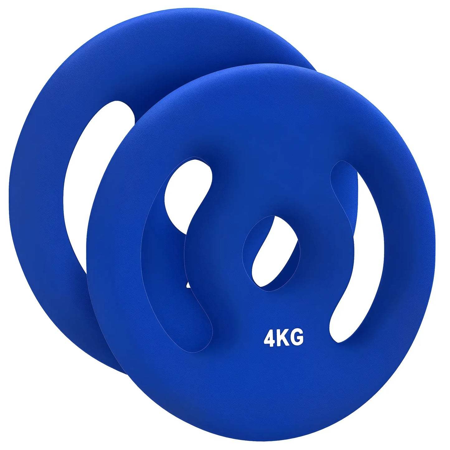 2 x 8.8lbs Weight Plates, 1" Holes, Easy-Grip Handles, Gym, Home Dumbbells & Barbells at Gallery Canada