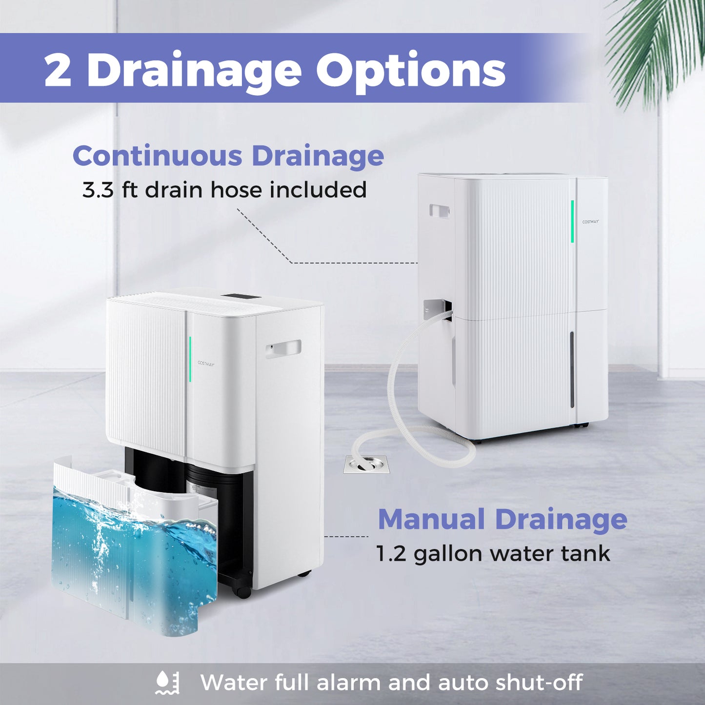 74 Pints Dehumidifier, 4500 Sq. Ft, White Dehumidifiers at Gallery Canada