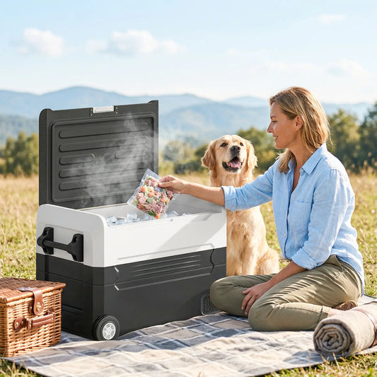 12V Car Refrigerator, 42QT, App Control, DC/AC Power, Black Car Coolers Black, White at Gallery Canada