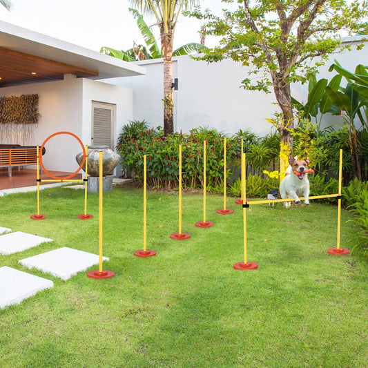 3PCs Pet Agility Training Set, Adjustable Weave Pole, Jumping Ring, High Jump Dog Agility Training Equipment Yellow at Gallery Canada