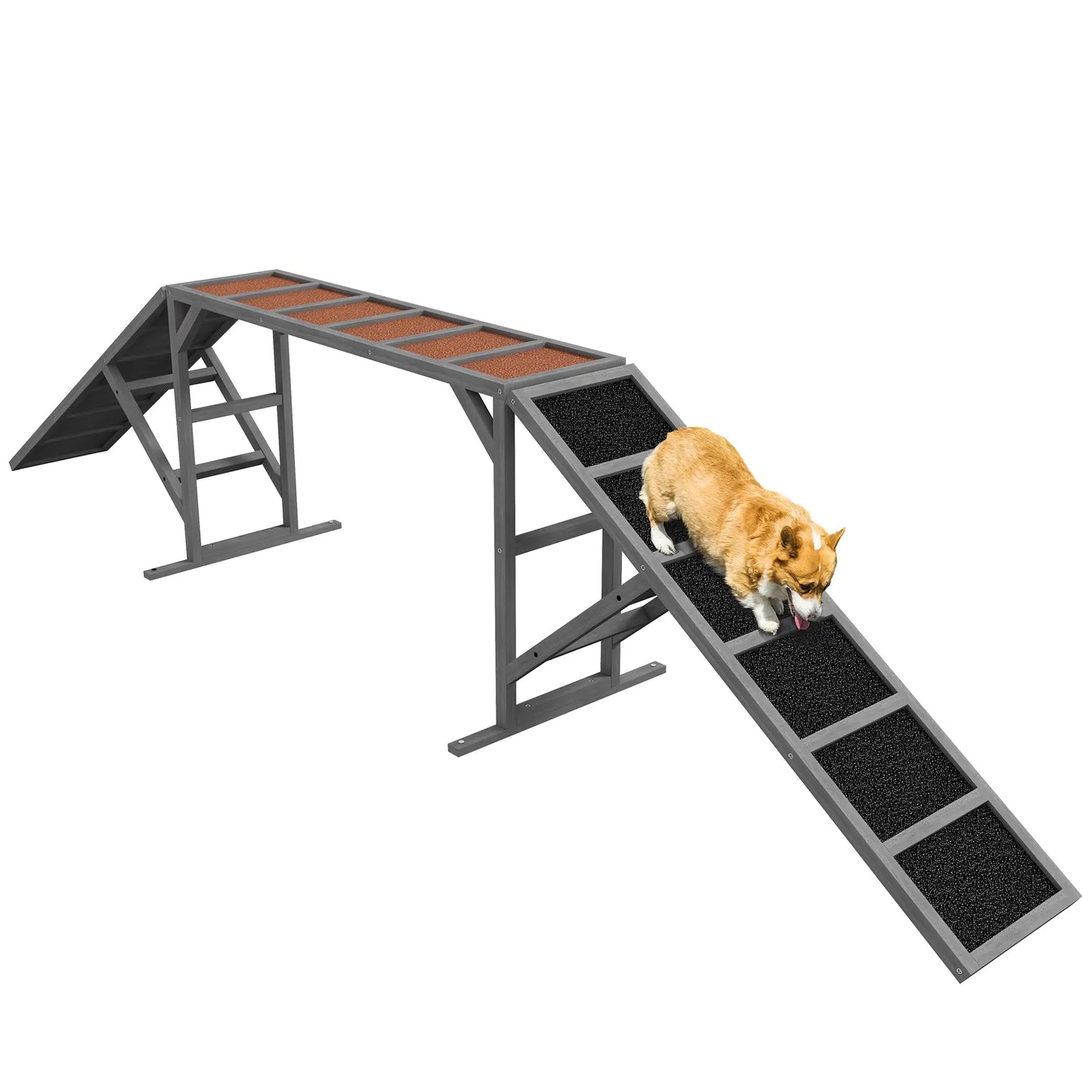 Dog Agility Ramp With Safety Bar, Non-Slip Surface, Gray Dog Agility Training Equipment at Gallery Canada