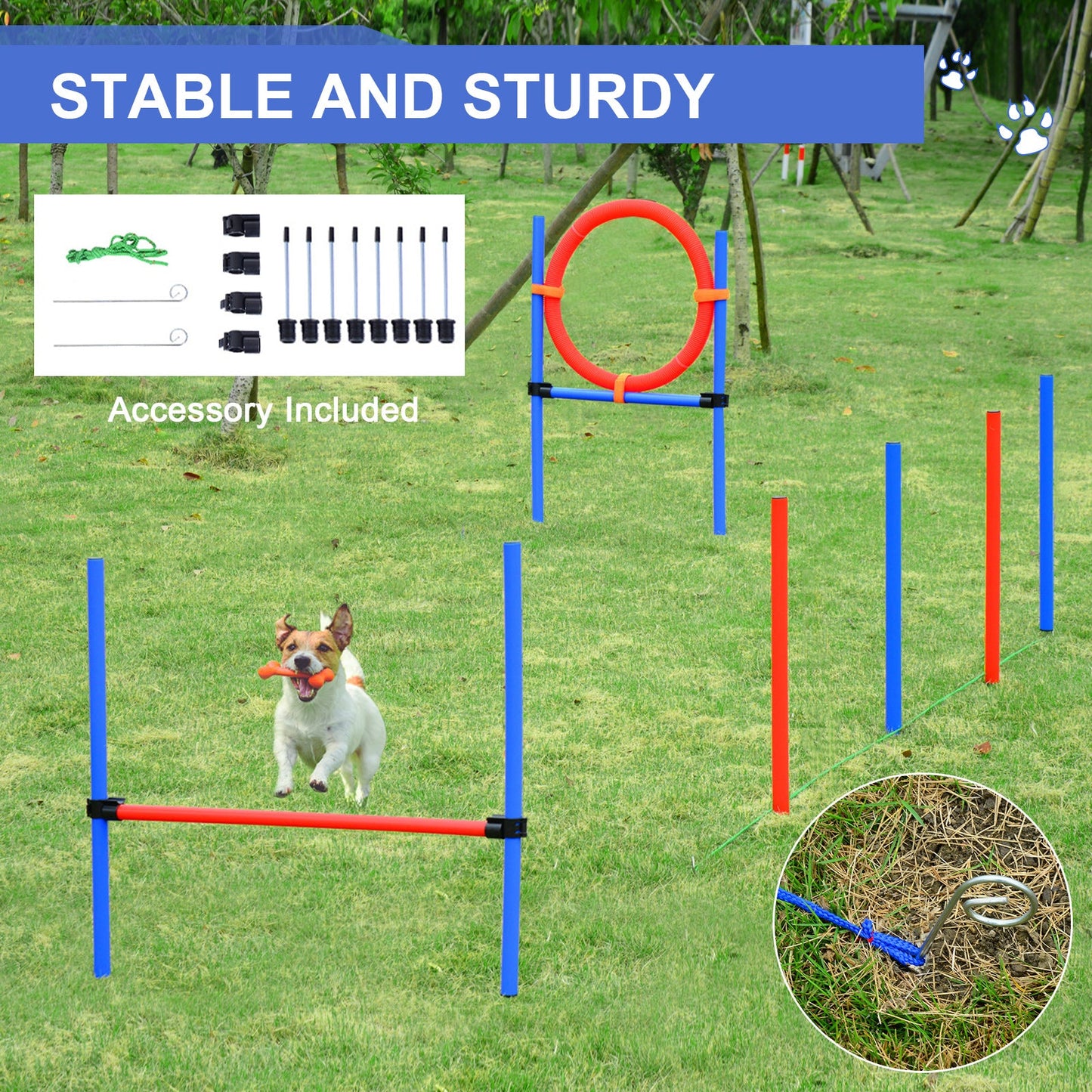 Dog Pet Agility Training Kit High Jump Weave Pole Ring Obedience Training Set Adjustable Equipment Portable at Gallery Canada