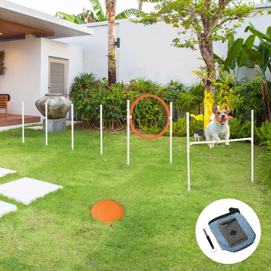 5 Pcs Dog Agility Training Set, Disc, Whistle, Weave Poles, Jump Poles, Food Bag, Carry Bag Dog Agility Training Equipment White, Blue, Red, Orange at Gallery Canada