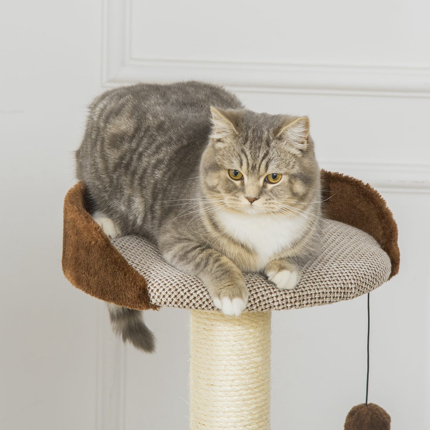Cat Tree Tower Indoor Cats Climbing Activity Center Kitten Furniture w/ Cat House, Bed, Scratching Post, Hanging Toy, Brown at Gallery Canada