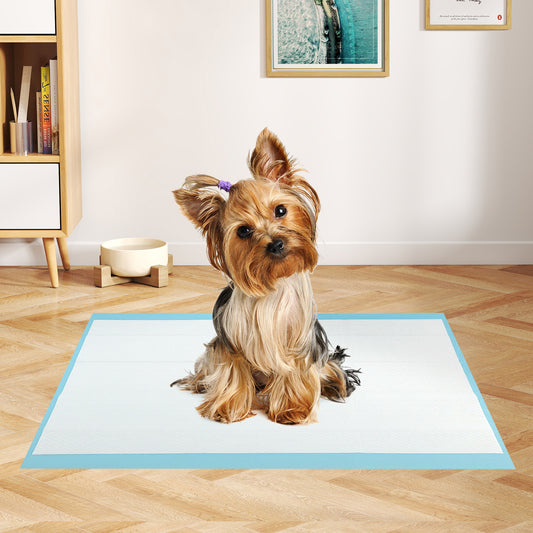 Dog Pee Pads 24" x 17", 300 Count, Potty Training, Blue Dog Supplies Blue at Gallery Canada