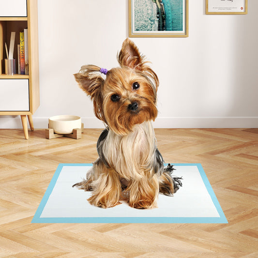 Dog and Puppy Pee Pads 18" x 13" (300 Counts) for Potty Training, Blue Dog Supplies Blue at Gallery Canada
