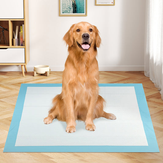 Dog Puppy Pee Pads 36" x 36", 100 Count, Potty Training, Blue Dog Supplies Blue at Gallery Canada